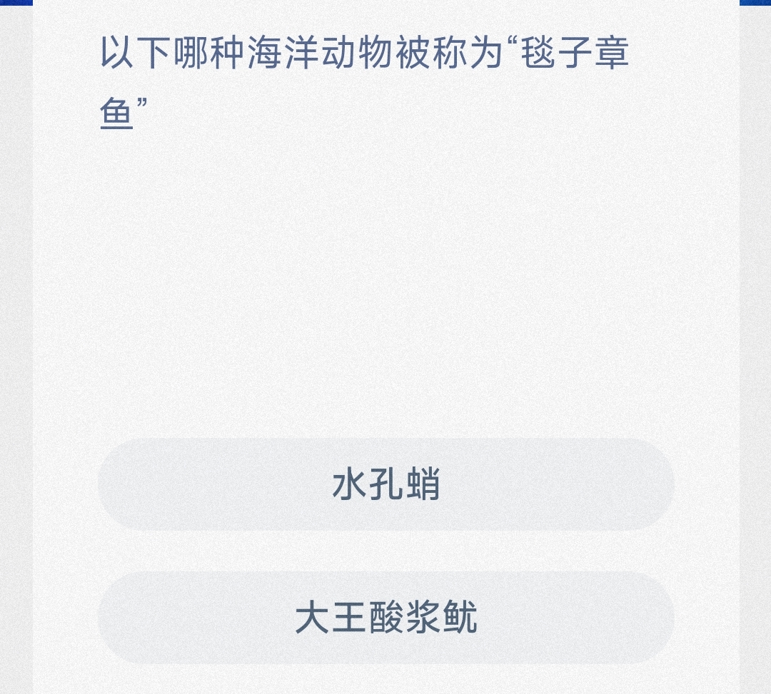 以下哪种海洋动物被称为毯子章鱼