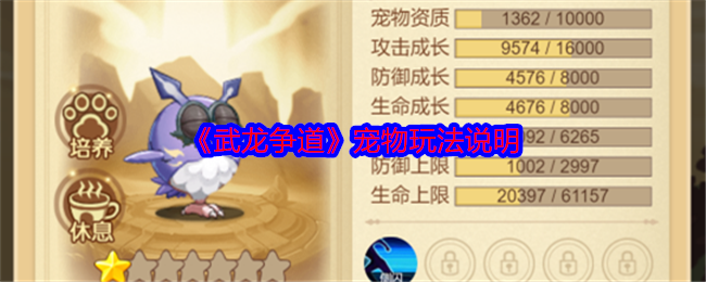 《武龙争道》宠物玩法说明