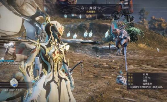 《星际战甲》声望获取攻略