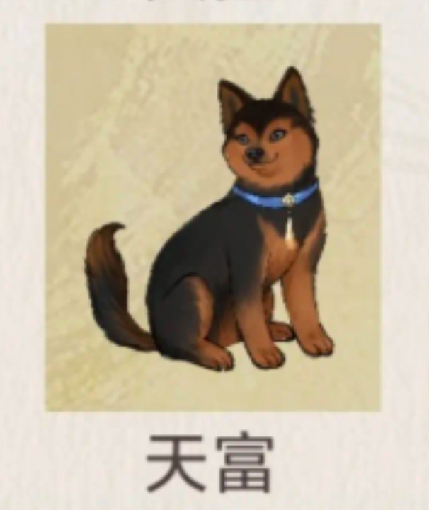 《华夏千秋》鸡舍位置图详解