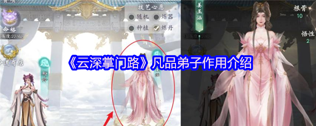 《云深掌门路》凡品弟子作用介绍