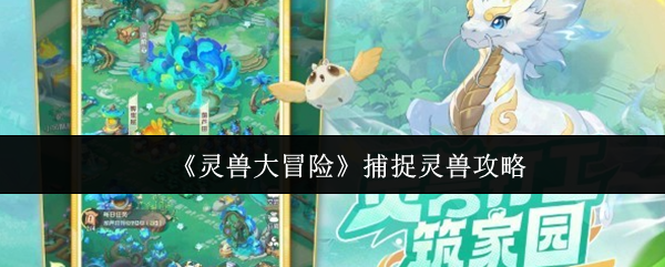 《灵兽大冒险》捕捉灵兽攻略