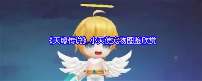 《天缘传说》小天使宠物图鉴欣赏