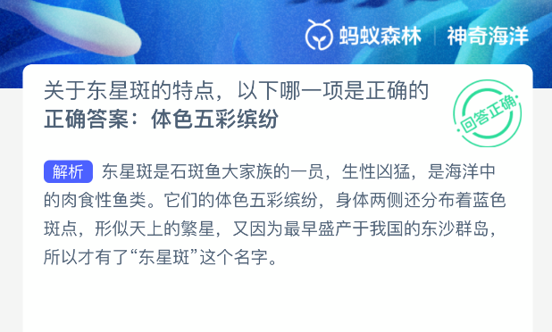 关于东星斑的特点，以下哪一项是正确的