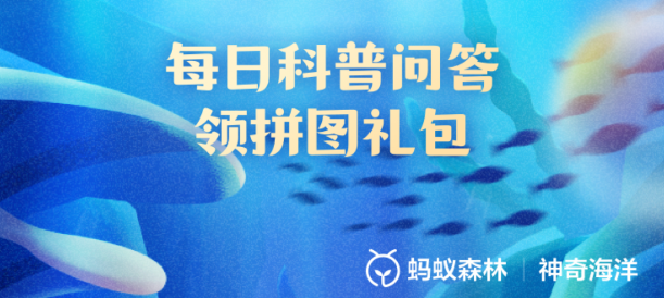 斑胡椒鲷之所以得名是因为