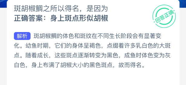 斑胡椒鲷之所以得名是因为