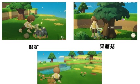 《星布谷地》五色阿奇宝获取攻略